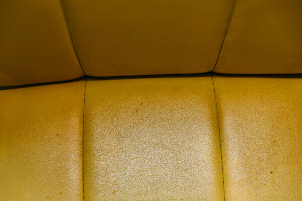 Chaise de salle à manger avec revêtement en cuir distinctif - Détail